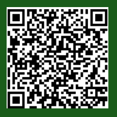 UPI QR Code